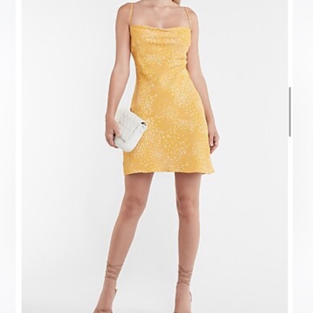 Express Cowl Neck Mini Dress